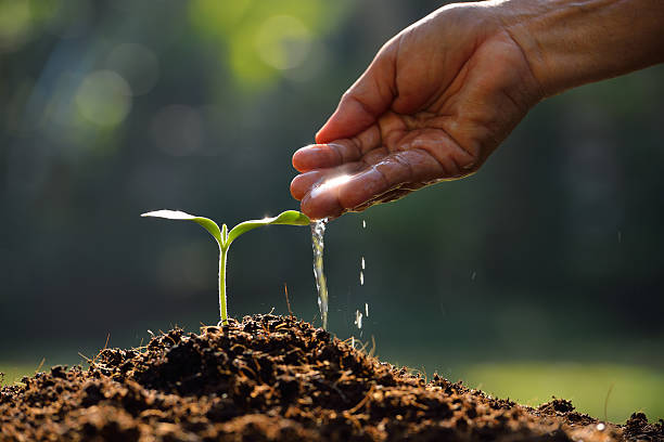 https://shohudafoundation.org/wp-content/uploads/2025/04/proj2-CkGwDFn6-1.jpg